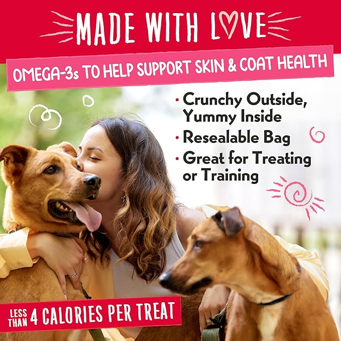 Charlee Bear Nuggets to Support Immune Health, StrawBeary Swirl with Antioxidants, Crunchy Outside and Creamy Inside, Real Strawberries, Yogurt, Cream Cheese, 6oz Bags (2), Made USA