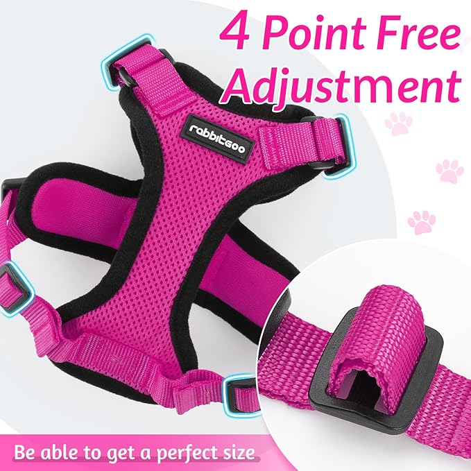rabbitgoo Cat Harness and Leash for Walking, Escape Proof Soft Adjustable Vest Harnesses for Cats, Easy Control Breathable Reflective Strips Jacket, Rose Red, XXS