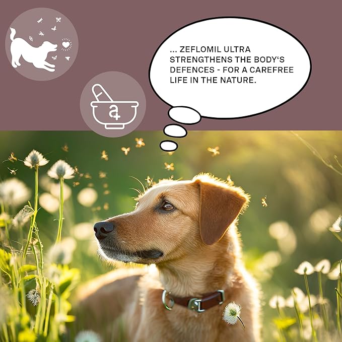 animaux - Zeflomil Ultra for Dogs I Support of The Natural Skin Barrier I Rosemary & Coconut Oil I Vegetable Chewing Tablets