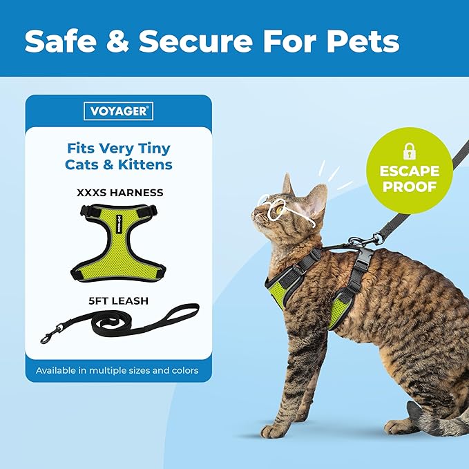 Voyager Escape Proof Cat Harness and Leash Set with Reflective Stitching, Neoprene Handle 5ft - Supports Small, Medium and Large Cats, Kittens for Walking by Best Pet Supplies - Black Trim-Lime, XXXS
