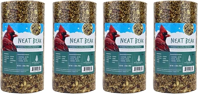 Birdseed Cylinders with Hole - Bird Seed for Outside Wild Birds (Small Cylinder, Neat Beak 4pc)