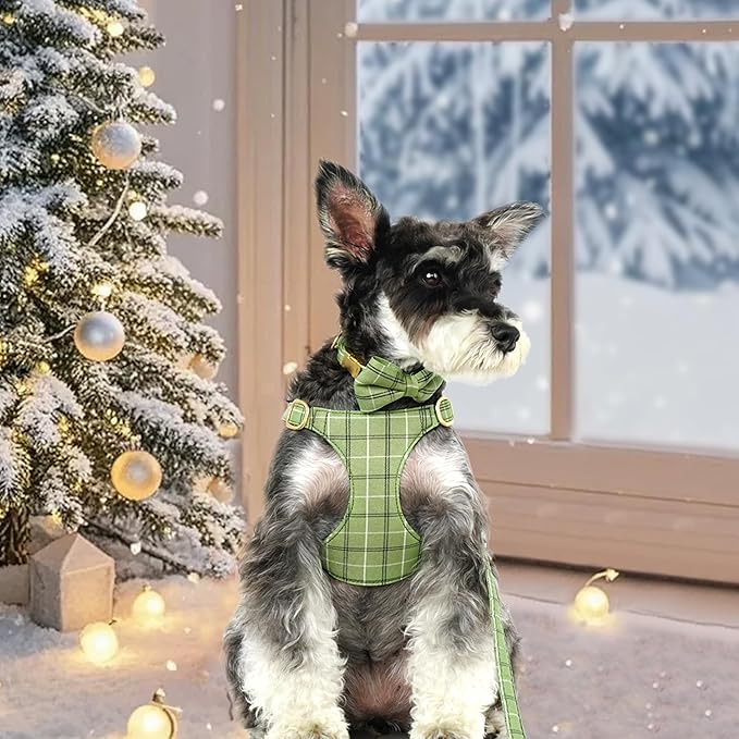 Beirui Cute Extra Small Dog Harness Collar and Leash Set with Bowtie, Soft Adjustable Plaid Puppy Harness for Small Sized Dogs Cats Walks Parties and Photoshoots(Green,XS:Chest 13-18")