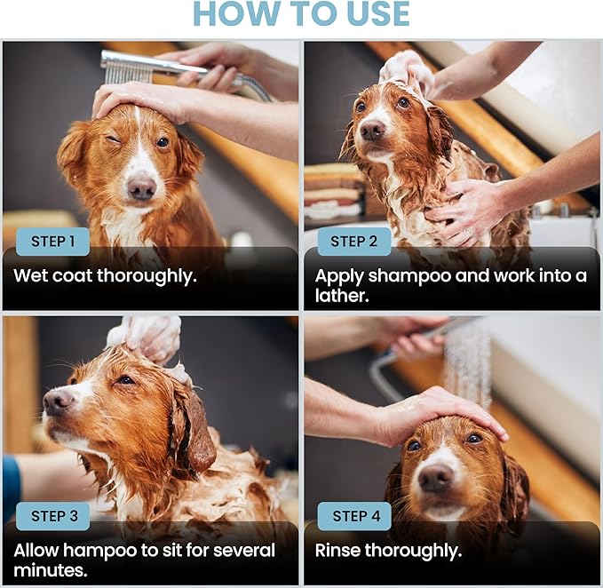 Puppy Shampoo & Conditioner | Made in USA | Tear Free | Best Shampoo for Puppies | Sensitive & Itchy Skin Wash | Oatmeal Bathing | Tearless, Ocean Breeze, 8oz [We Love Doodles]