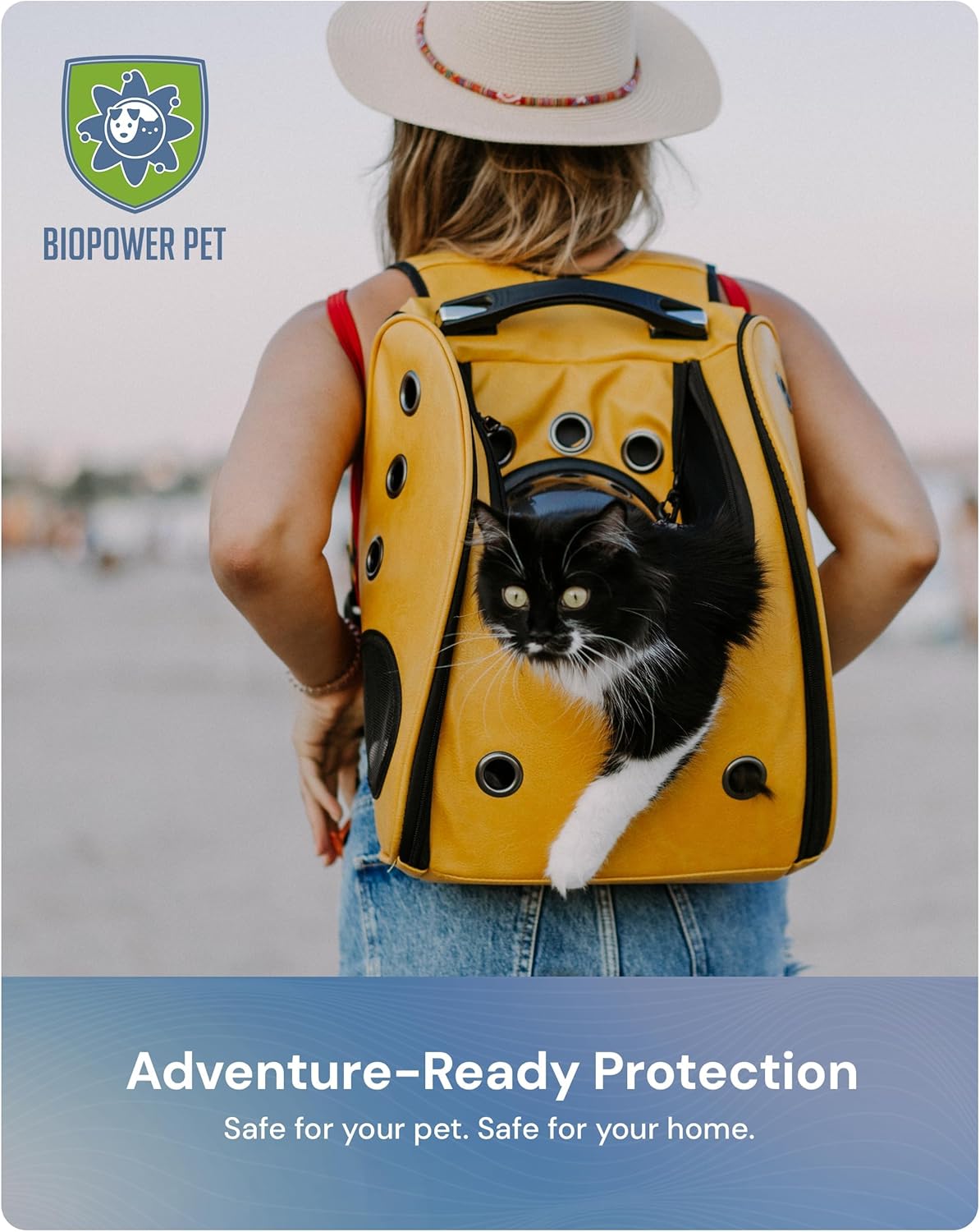 Natural Flea & Tick Repellent Collar Tag for Dogs & Cats – BioPower Pet Shield – Safe for Pets When Used as Directed – Lasts 1 Full Year - Small/Regular Tag Bundle (1 Pack)