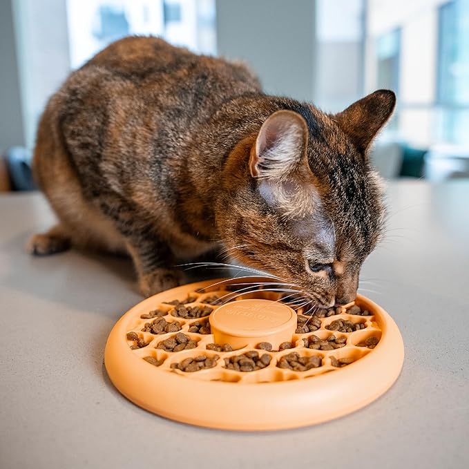 Catstages Cat Slow Feeder Bowl for Indoor Cats, Stimulating Treat Puzzle Toy, Dry or Wet Food, 1/2 Cup Capacity, One Size, Orange