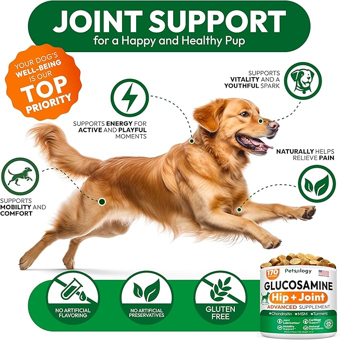 Glucosamine for Dogs - Hip and Joint Supplement for Dogs - 170 Mobility Chews - Glucosamine Chondroitin - MSM - Turmeric - Joint Pain Relief - Advanced Support for Dog Health - Made in USA
