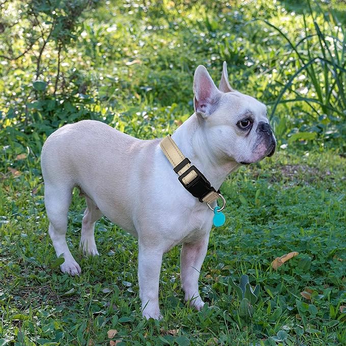 Reflective Dog Collar Padded with Soft Neoprene Breathable Adjustable Nylon Dog Collars for Small Medium Large Dogs (Large (Pack of 1), Vanilla Collar+Leash)