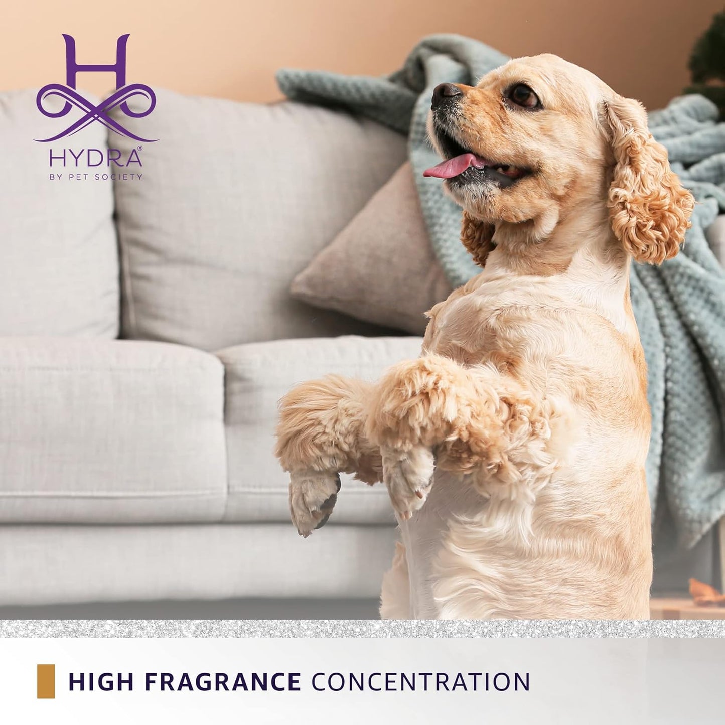 Hydra Forever VIP Pet Cologne, Finishing Cologne for Dogs and Cats, Grooming Spray, 15 FL.OZ