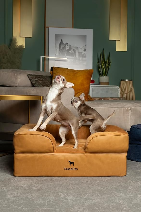 NOAH & PAW Dog Bed, 28x23x11 Inch, Orthopedic Dog Beds for Medium Size Pets, Eggshell Memory Foam Infused with Cooling Gel, Inner Cover, Waterproof, Machine Washable (Faux Leather Sofa Collection)