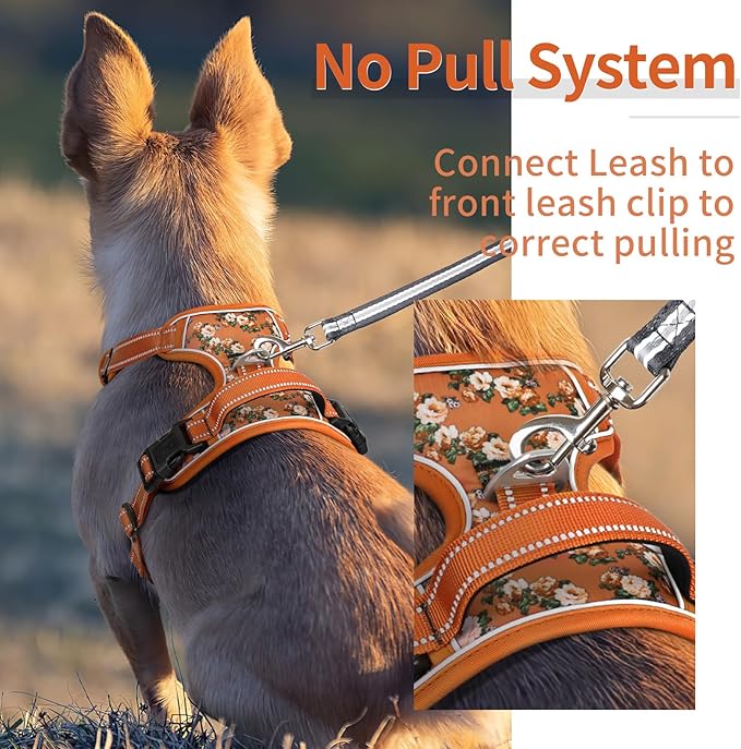 HEELE Dog Harness, No Pull Adjustable Padded Reflective Harness for Small Medium Large Dogs with Handle for Walking Training, Flower-Orange,M