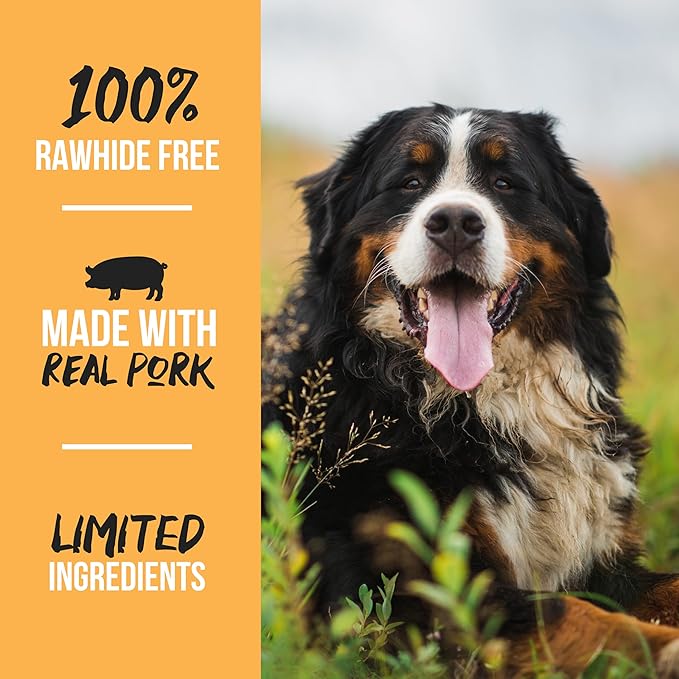 Grillerz Real Pig Ears, 12 Count, Single Ingredient, All Natural Pig Ears for Dogs, Dog Chew for Healthy Teeth, High Protein, Easily Digestible, for Adult Life Stages