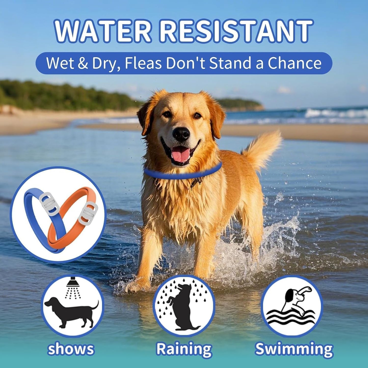 Dog Flea and Tick Collar 4 Pack, Waterproof Adjustable Collar for Dogs and Puppies, 32-Month Prevention, Blue & Orange