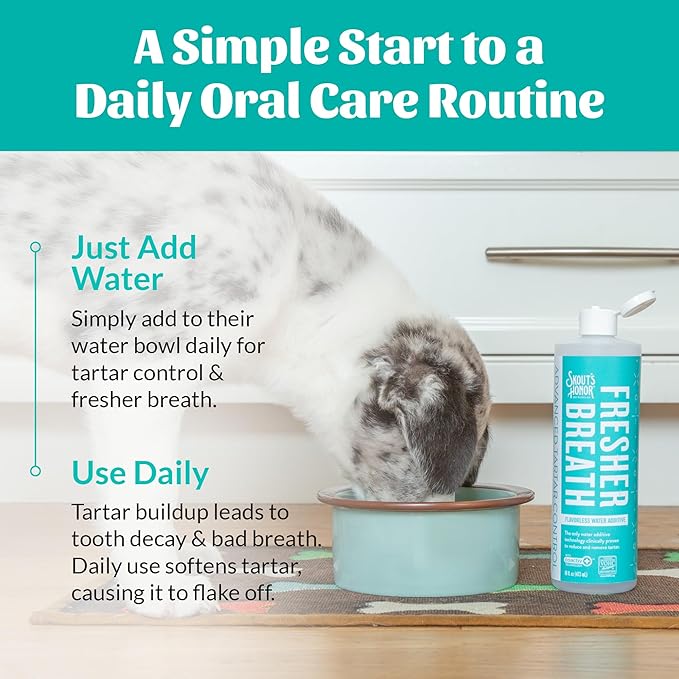 SKOUT'S HONOR Fresher Breath Water Additive for Pets - VOHC Accepted for Tartar Control, Freshens Breath Fast, No Brushing Required: Fresh & Flavorless 16oz - 2 Pack
