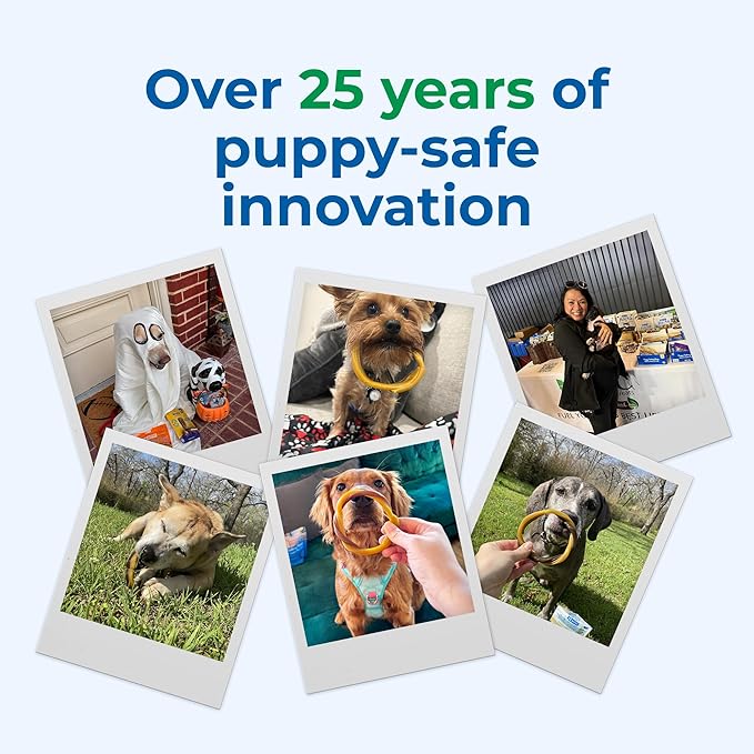 N-Bone Puppy Teething Rings 6 Count Bag Variety Pack, Chicken & Pumpkin & Blueberry BBQ Flavor, Total 3 Bags, 21.6-oz, 18 Rings