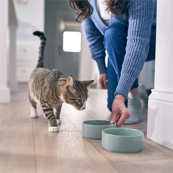 Microbiome Analysis Kit — Advanced for Cats and Dogs, Powered by Purina - 4.8 oz. Box