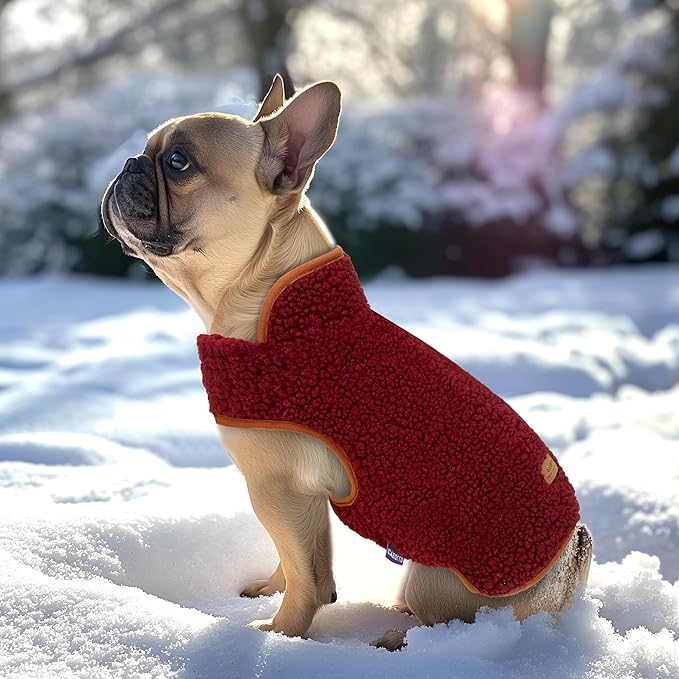 cyeollo Warm Dog Coat Fleece Sherpa Winter Sweater Coats, Turtleneck Dog Jacket Vest for Small Medium Large Dogs, Reversible Cold Weather Pet Coats, Burgundy, M