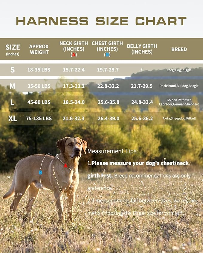 Dog Harness for Large Dogs Heavy Duty, No Pull Tactical Dog Harness with Molle System, Easy On and Off Service Dog Vest, Breathable Padded, Adjustable Reflective Pet Vest for Walking Hiking Training