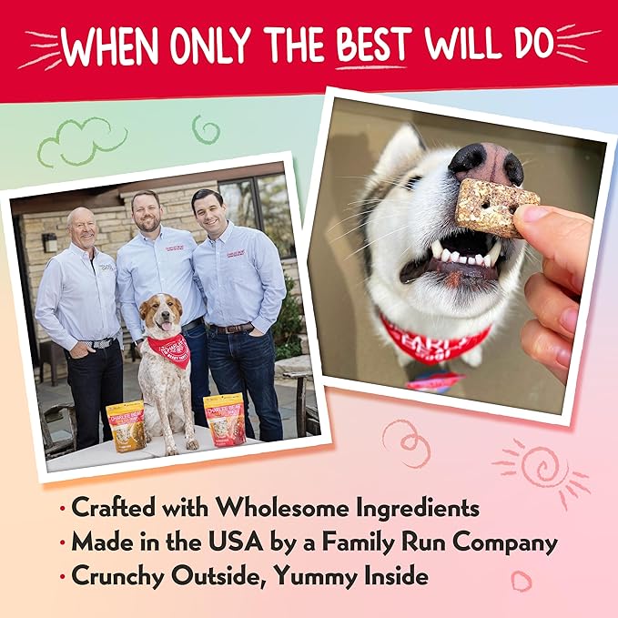 Charlee Bear Nuggets to Support Immune Health, StrawBeary Swirl with Antioxidants, Crunchy Outside and Creamy Inside, Real Strawberries, Yogurt, Cream Cheese, 6oz Bags (2), Made USA