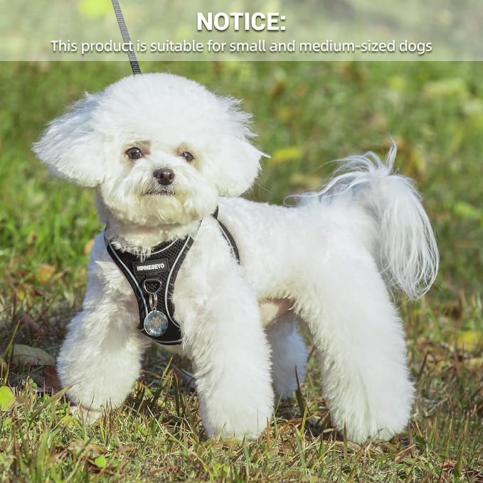 Dog Harness and Leash Set, Dog Harness for Dogs No Pull, No-Chock Step-in Reflective Breathable Lightweight Easy Walk Vest Harnesses with Safety Buckle for Small Medium Dogs, Cats (Black, XXS)