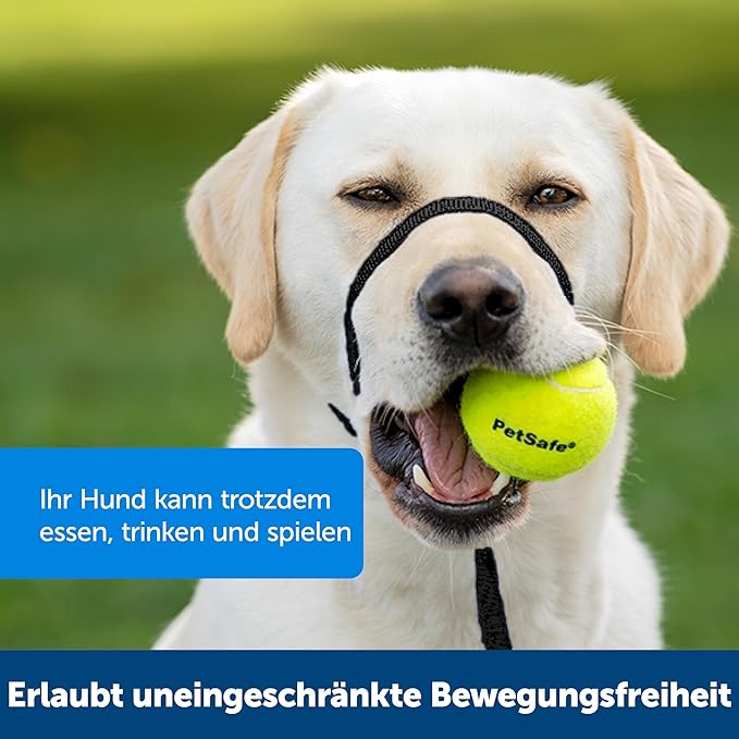 Kurgo Enhanced Strength Tru-Fit Dog Car Harness - Pet Travel Safety Harness - Crash Test Certified Fit - Five Point Adjustment - Secure Buckle - Padded Chest - Ink Blue - Small