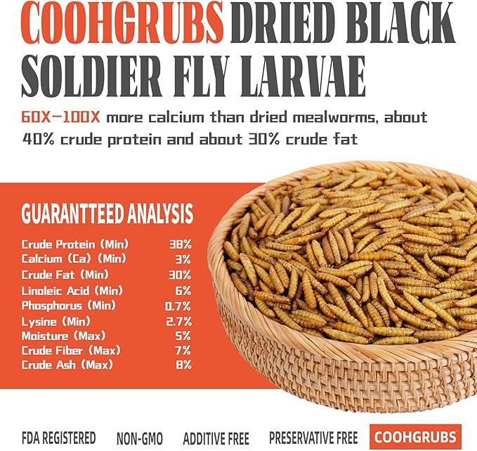 Dried Black Soldier Fly Larvae 2 lb – High Protein Chicken Feed with More Calcium Than Mealworms for Chickens, Birds, Reptiles & Small Pets