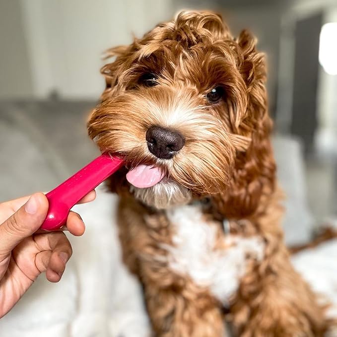 Nylabone Original Bone Power Chew Toy for Dogs, Durable Dog Toys for Aggressive Chewers, Peanut Butter Flavor, Small - Up to 25 Ibs, 3 Pack