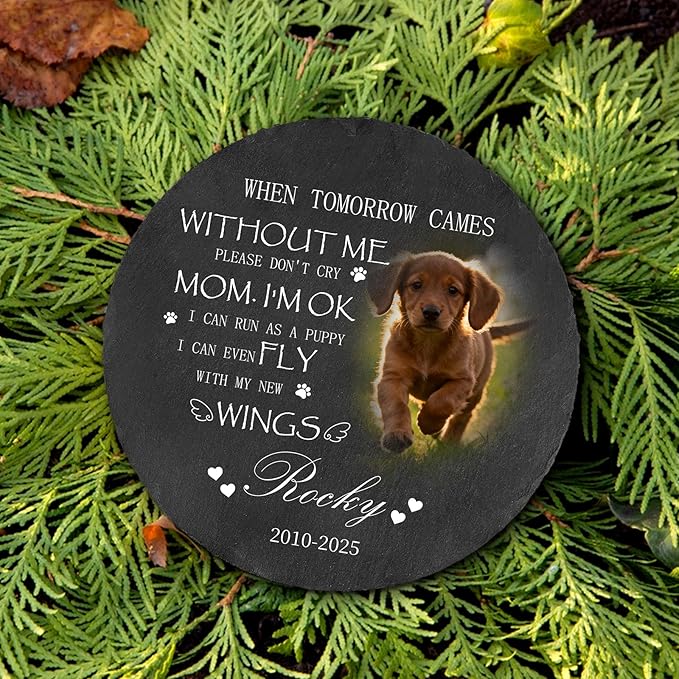 Ships Next Day Personalized Pet Memorial Stone for Loss of Dog Cat, Custom Photo Name Memory Headstone Garden Grave Marker Bereavement Sympathy Gift