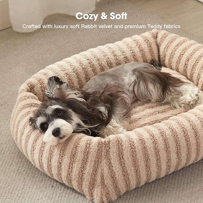 MIXJOY Dog Beds for Small Dogs Cats, Soft Cat Bed for Indoor Cats, Rectangle Pet Bed for Puppy Kitty, Washable Dog Bed with Removable Cover, Anti Slip Bottom, 20"x19"x6", Beige