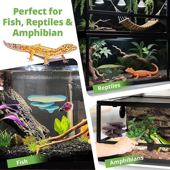 Mushroom Decor for Reptile Tank, Fish Tank, Pet-Safe Bearded Dragon Tank Accessories, Realistic Terrarium Plants for Leopard Geckos, Frogs, Snakes (Rainbow Cluster Cap, Randomly Ship)