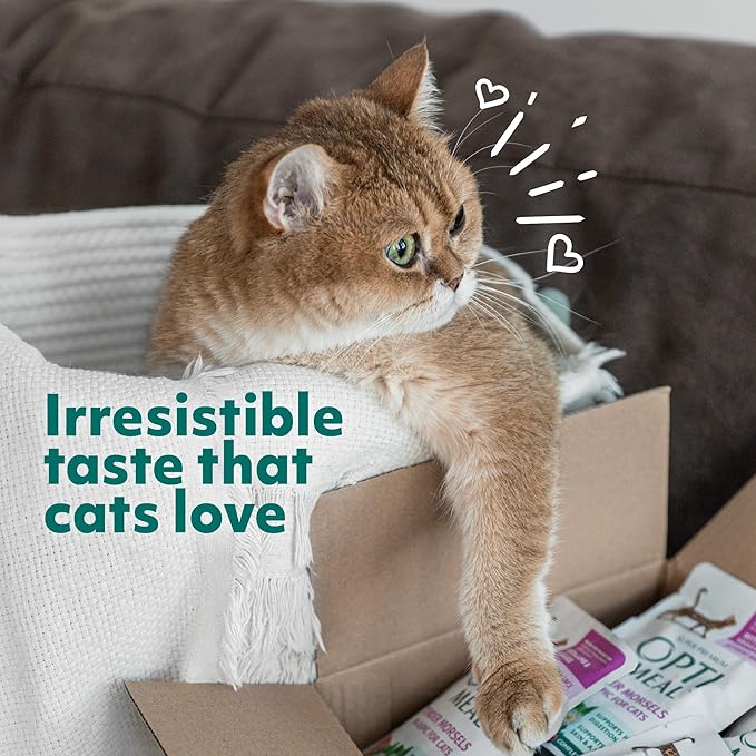 Optimeal Grain-Free Wet Cat Food Pouches – Shrimp & Salmon in Savory Gravy, High Protein & Moisture-Rich Tender Morsels, Indoor Adult Cat Wet Food with Natural European Ingredients, 3 oz (Pack of 12)