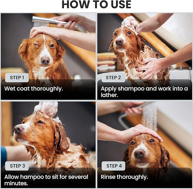 Puppy Shampoo & Conditioner | Made in USA | Tear Free | Best Shampoo for Puppies | Sensitive & Itchy Skin Wash | Oatmeal Bathing | Tearless, Unscented, 8oz [We Love Doodles]