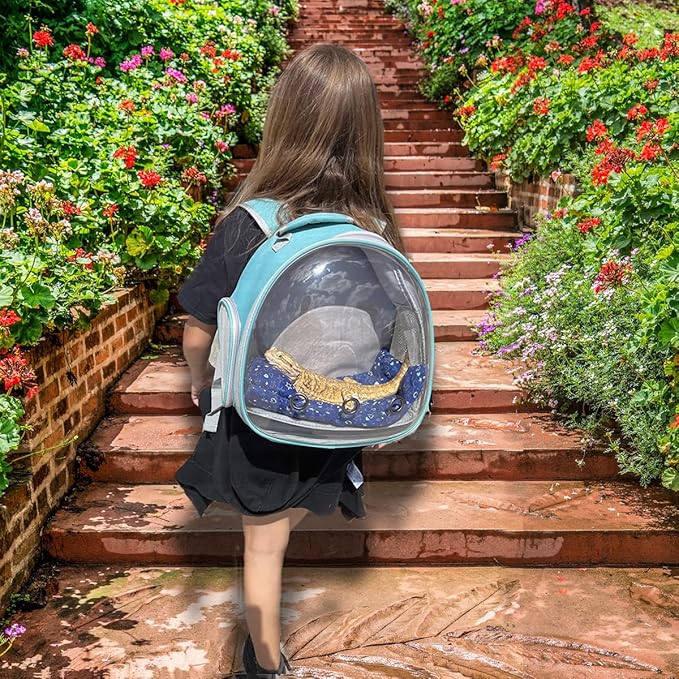 Guinea Pig Backpack Carrier, Bearded Dragon Carrier Backpack with Clear Bubble Window,Small Animal Travel Backpack for Hedgehog Rat，Chameleon,Rabbit,Sugar Glider,Airline Approved (Green, Backpack)