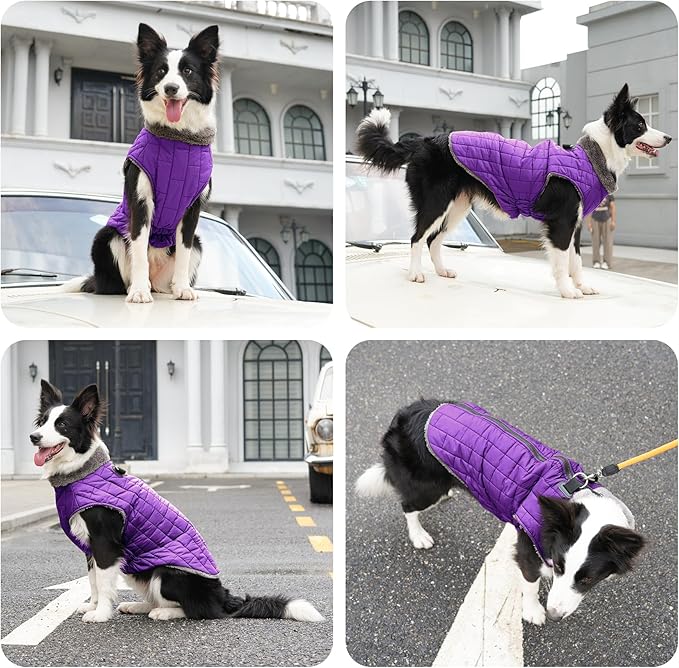 Warm Fleece Dog Coats with Durable Harness Buitl in D-Ring,Waterproof Doggie Jacket for Large Dogs,Dog Vest for Cold Winter,Purple XXL