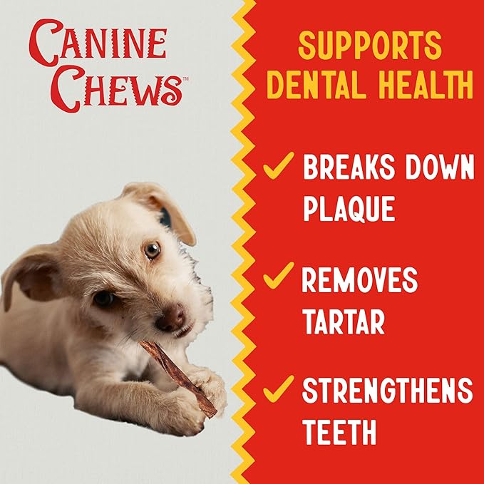 Canine Chews Small Rawhide Twists for Dogs - Pack of 100 5" Beef Flavored Rawhide Sticks for Small Dogs & Puppies - Protein Dense Beef Flavored Rawhides for Dogs - Natural Dog Rawhide Sticks