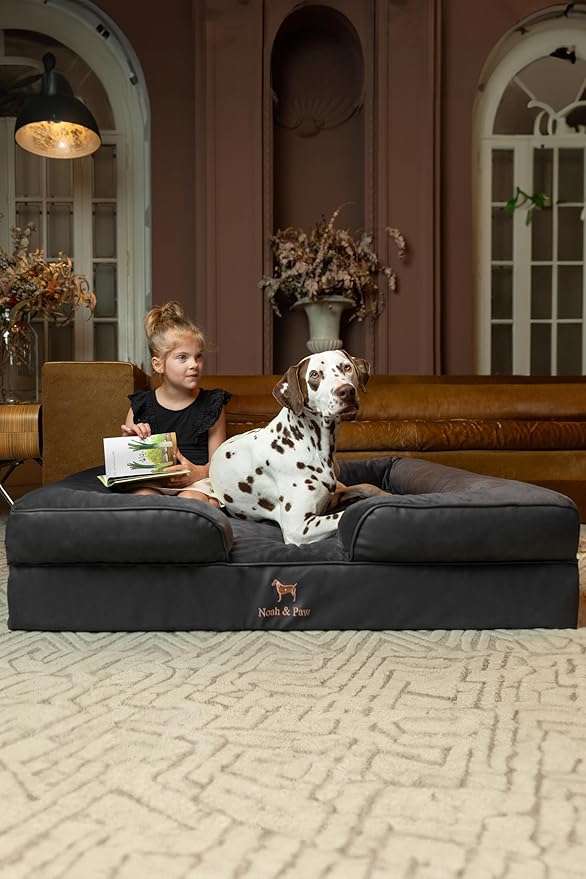 NOAH & PAW XL Dog Bed, 45x35x11 Inch, Orthopedic Large Dog Beds, Eggshell Memory Foam Infused with Cooling Gel, Inner Cover, Waterproof, Machine Washable (Faux Leather Sofa Collection)