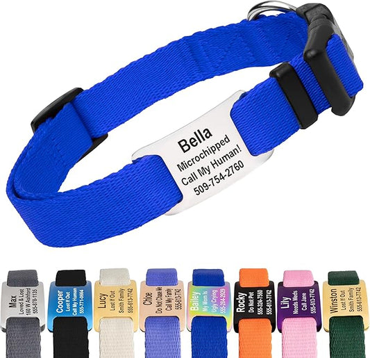 GoTags Personalized Dog Collar with Nameplate, Adjustable Dog Collar with Custom Engraved Slide On Pet ID Tag in Stainless Steel, Silent, No Noise Dog Tag for Large Medium and Small (Blue, Medium)