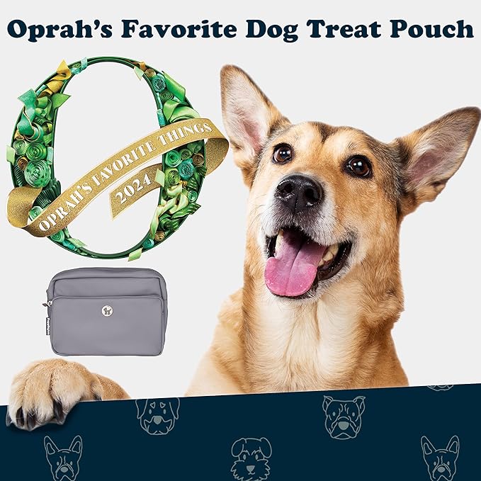 Puppington 3-in-1 Crossbody Dog Walking Bag & Treat Pouch with Matching Planet Safe Poop Bags & Built-In Dispenser - Zippered Pockets (Charcoal Gray)