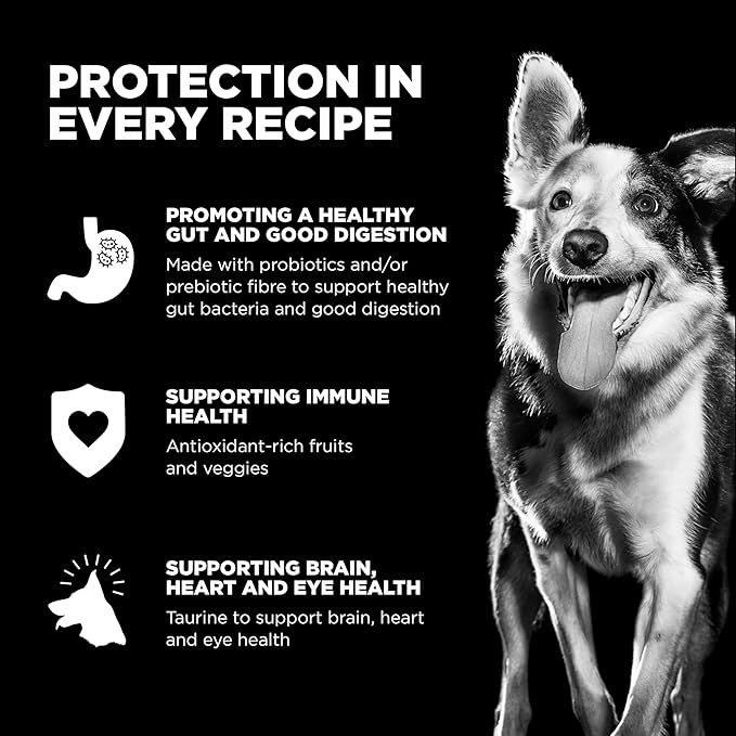 Go! Solutions Sensitivities Limited Ingredients, Grain-Free Dry Dog Food, Duck Recipe for Sensitive Stomach, 22 lb Bag