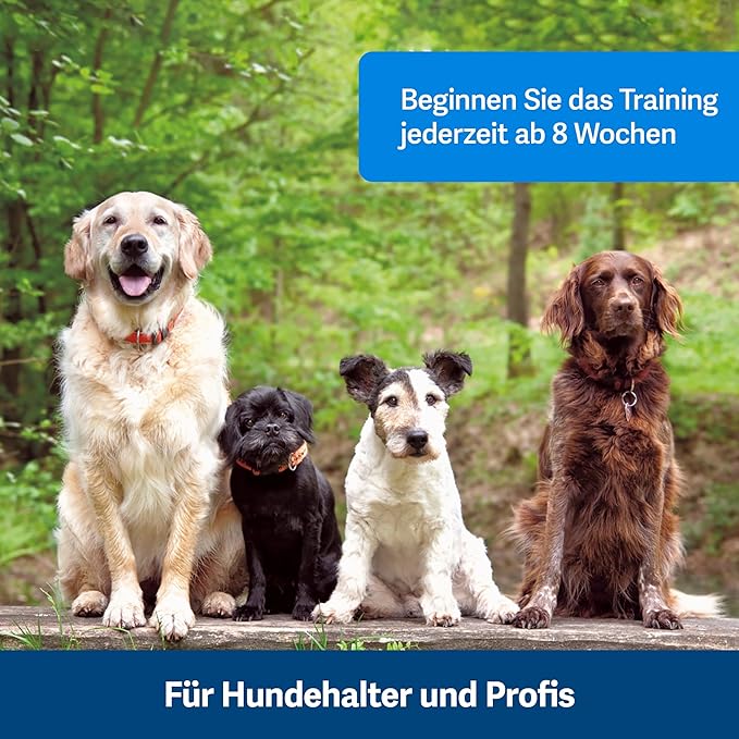 Kurgo Enhanced Strength Tru-Fit Dog Car Harness - Pet Travel Safety Harness - Crash Test Certified Fit - Five Point Adjustment - Secure Buckle - Padded Chest - Charcoal - Large