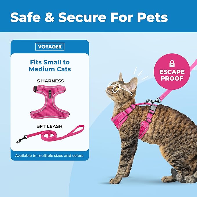 Voyager Escape Proof Cat Harness and Leash Set with Reflective Stitching, Neoprene Handle 5ft - Supports Small, Medium and Large Cats, Kittens for Walking by Best Pet Supplies - Fuchsia, S