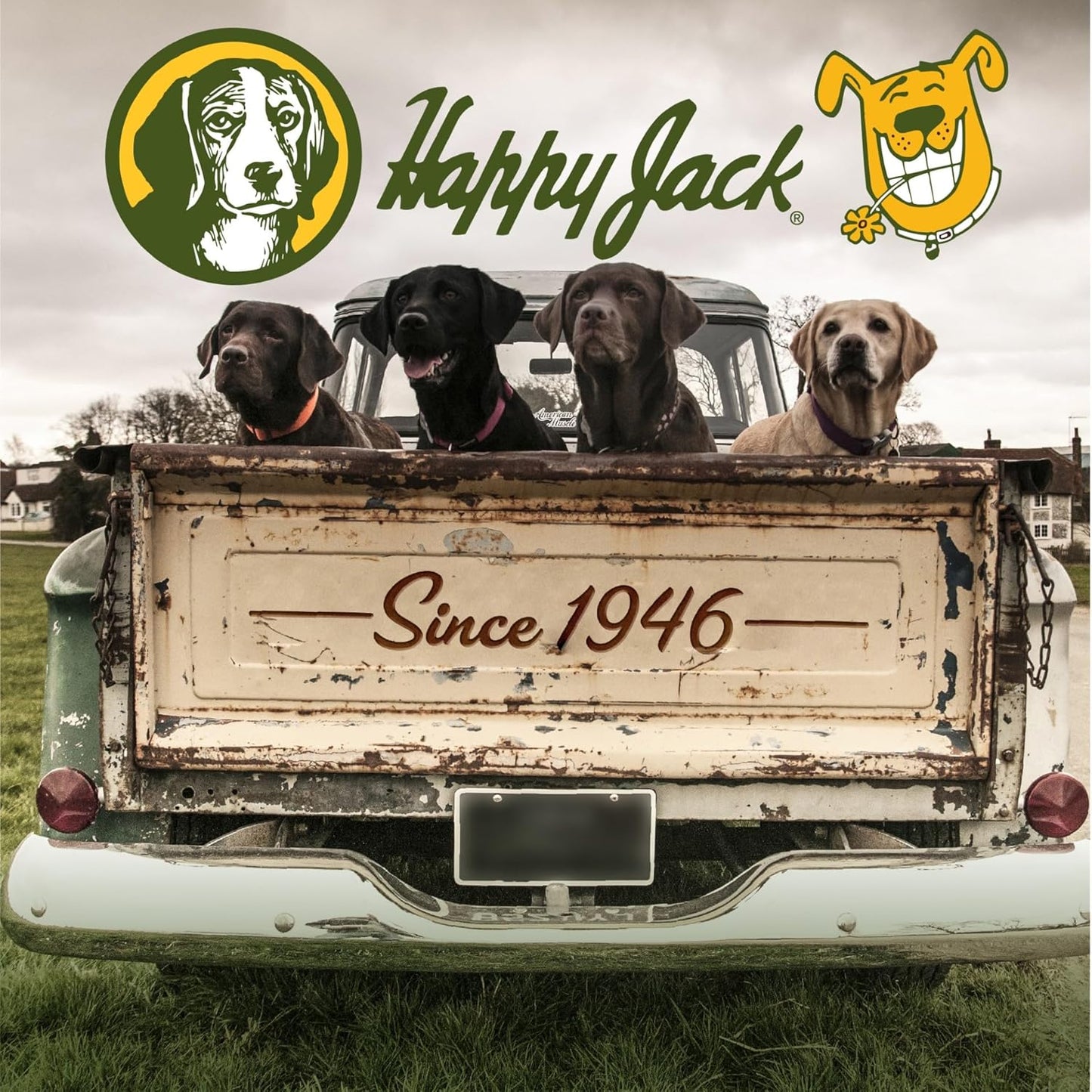 Happy Jack Kennel Dip Dog Flea and Tick Treatment & Prevention, Made in USA, Spray Yard & Home 30-Day Control, Kills Fleas, Ticks, Deer Ticks, Mange, Lice, for Puppies, Small to Large Dogs (4 oz)