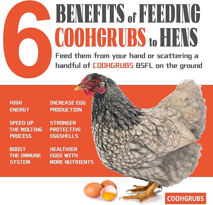 Dried Black Soldier Fly Larvae 5 lb - Non-GMO High-Calcium Worms for Chickens, Ducks & Wild Birds