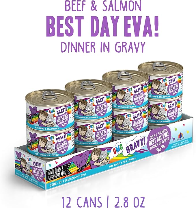 Weruva B.F.F. OMG - Best Feline Friend Oh My Gravy!, Best Day Eva! with Beef & Salmon in Gravy Cat Food, 2.8oz Can (Pack of 12)