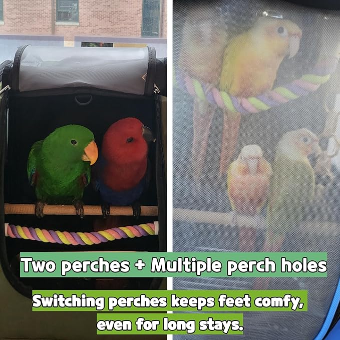 Birds Day Bird Carrier Backpack-Parrot Travel Cage with 2PCS Perch and Food Bowl, Stainless Steel Tray (Dark Olive Green)