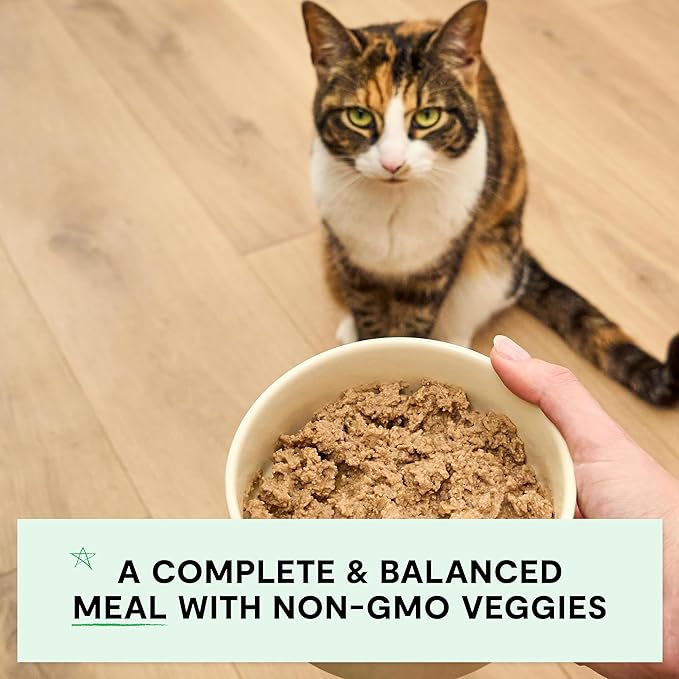 Open Farm Canned Cat Food, Paté for Complete & Balanced Nutrition, Grain-Free and Legume-Free Wet Cat Food, Chicken & Salmon Recipe, 2.8oz Cans (Case of 18)