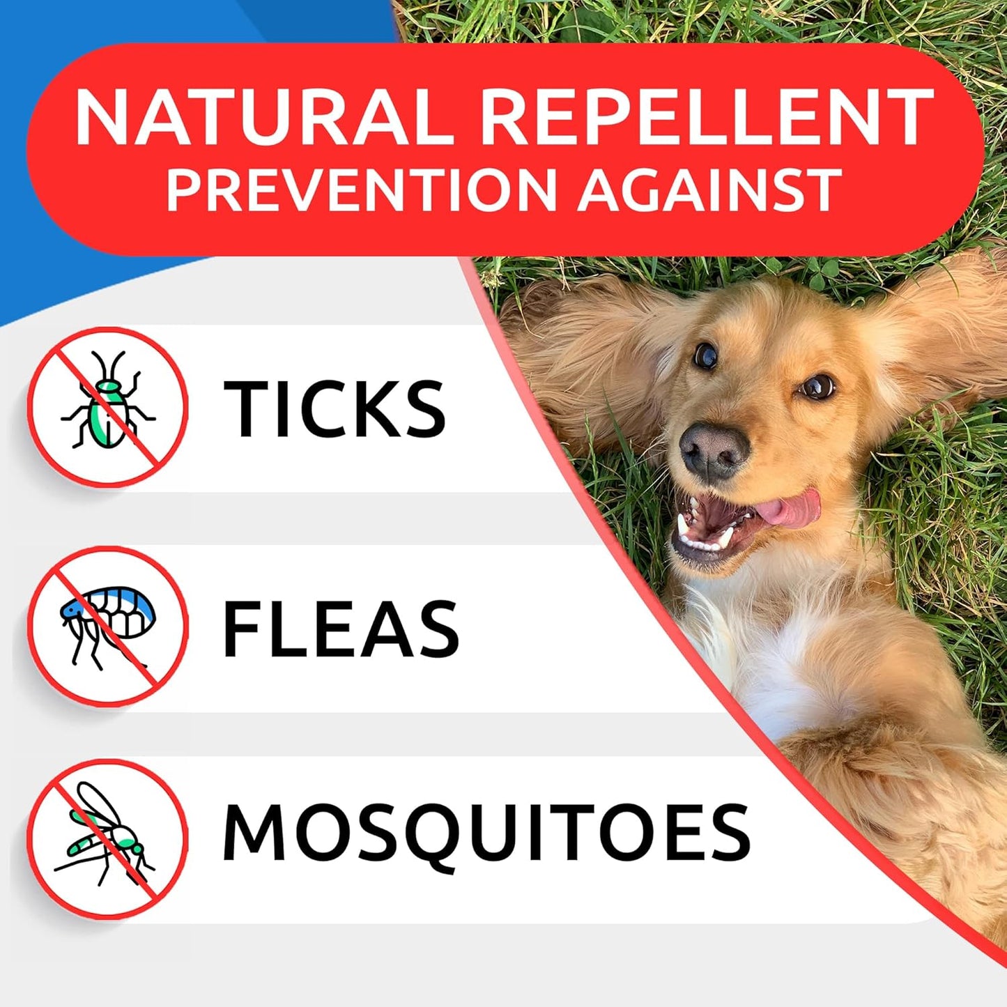 BARK&SPARK Natural Flea and Tick Prevention Chews for Dogs - Chewable Tablets for Dogs - All Breeds and Ages - Made in USA Flea and Tick Remover Supplement - Bacon - 120 Treats