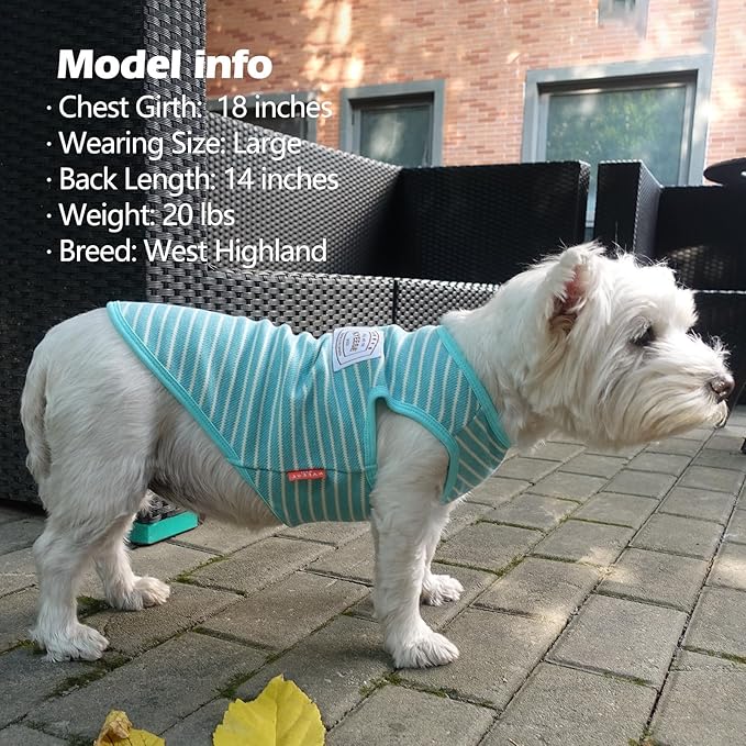 KYEESE 2Pack Dog Shirts Striped for Small Dogs Soft Stretchy Dog T-Shirts Lightweight Tank Top Sleeveless Vest Breathable Cat Outfit, Small, Rose Red+Blue