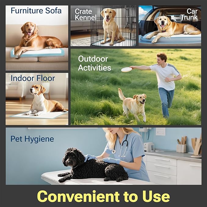 Charcoal Puppy Pads 100 Count, Disposable Pee Pads for Dogs / Wee Wee Pads / Potty Training Pads, Underpads with Activated Carbon to Eliminate Odor, 22"x22"