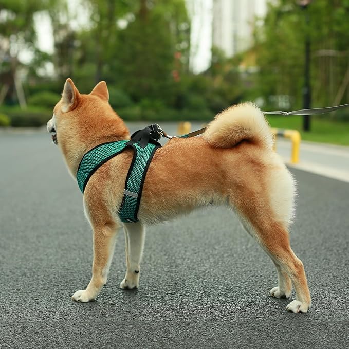 Voyager Step-in Air All Weather Mesh Harness and Reflective Dog 5 ft Leash Combo with Neoprene Handle, for Small, Medium and Large Breed Puppies by Best Pet Supplies - Turquoise (2-Tone), XS