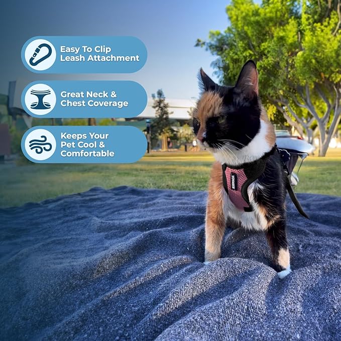 Voyager Step-in Lock Adjustable Cat Harness w. Cat Leash Combo Set with Neoprene Handle 5ft - Supports Small, Medium and Large Breed Cats by Best Pet Supplies - Pink/Black Trim, XXXS